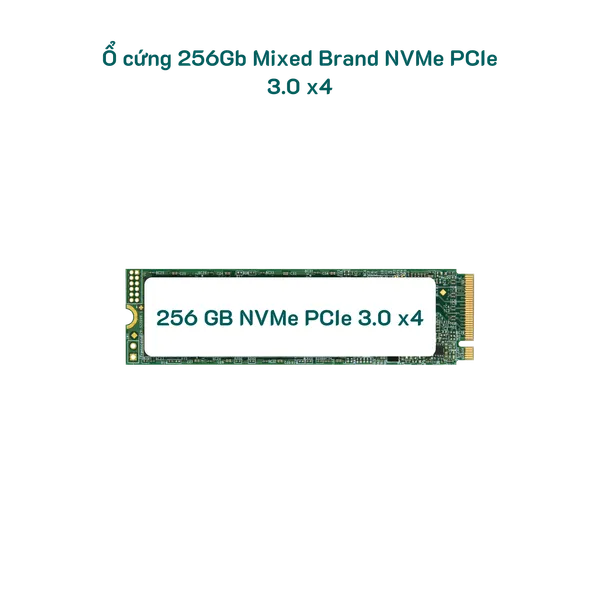 256gb-mixed-brand-nvme--sk-100-1.png