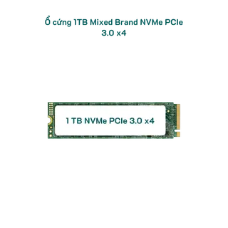 1tb-mixed-brand-nvme--sk-100-1.png