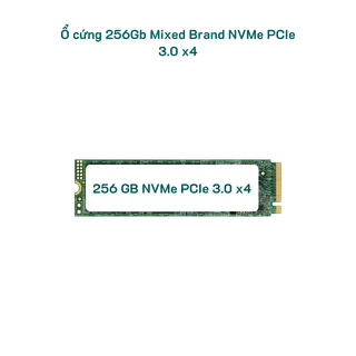 256gb-mixed-brand-nvme--sk-100-1.png