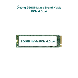 256gb-mixed-brand-nvme-gen-4--sk-100.png