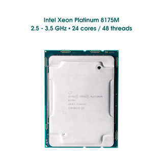 Intel Xeon Platinum 8175M